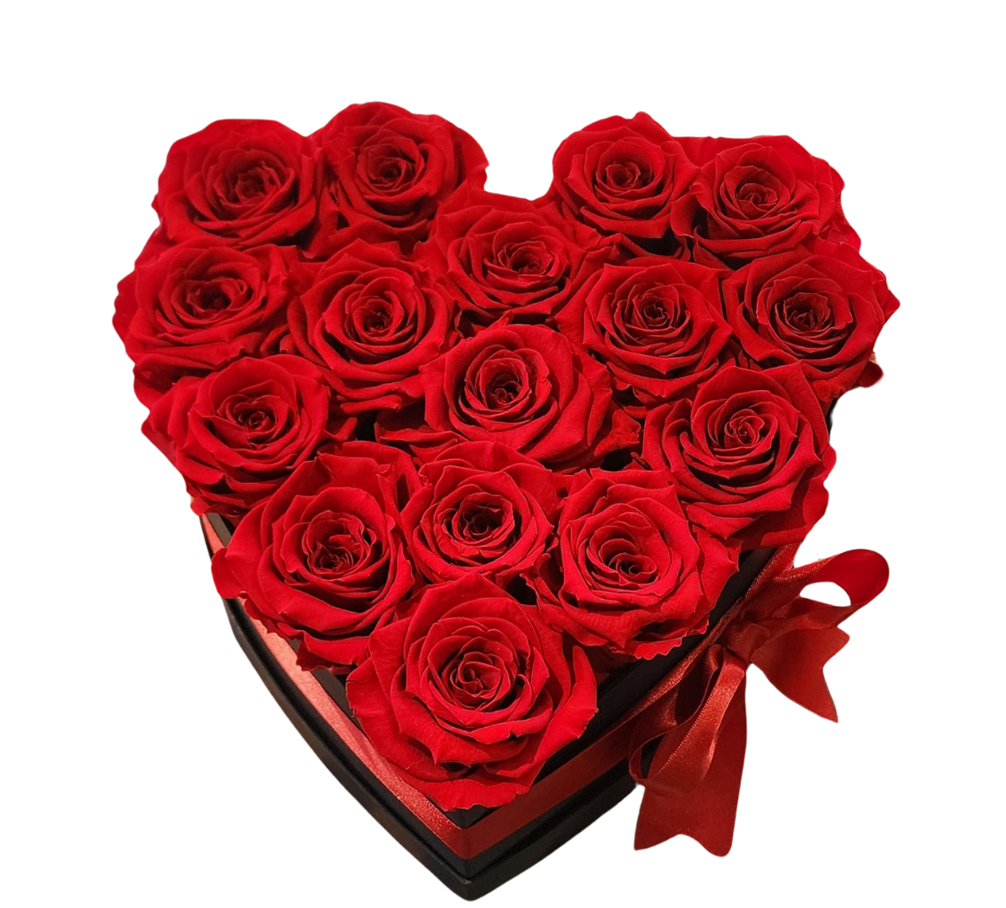 Luxury Orchid Arrangements